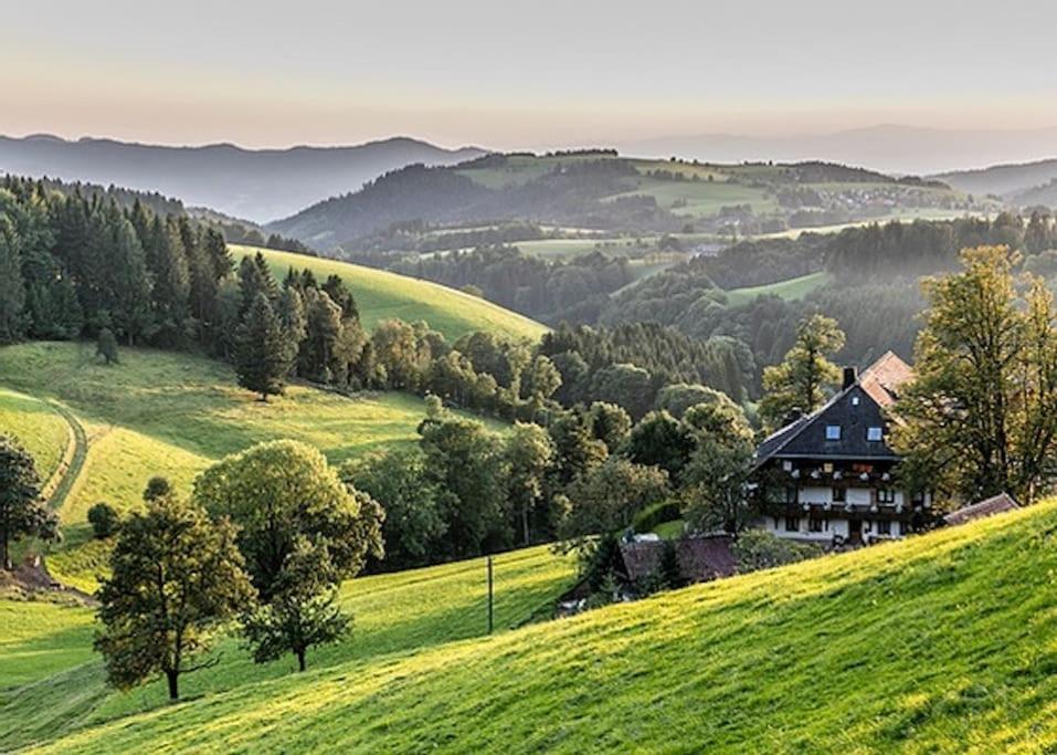 Ferienwohnung Niki Titisee-Neustadt Zewnętrze zdjęcie