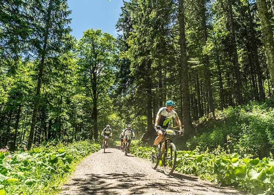 Ferienwohnung Niki Titisee-Neustadt Zewnętrze zdjęcie