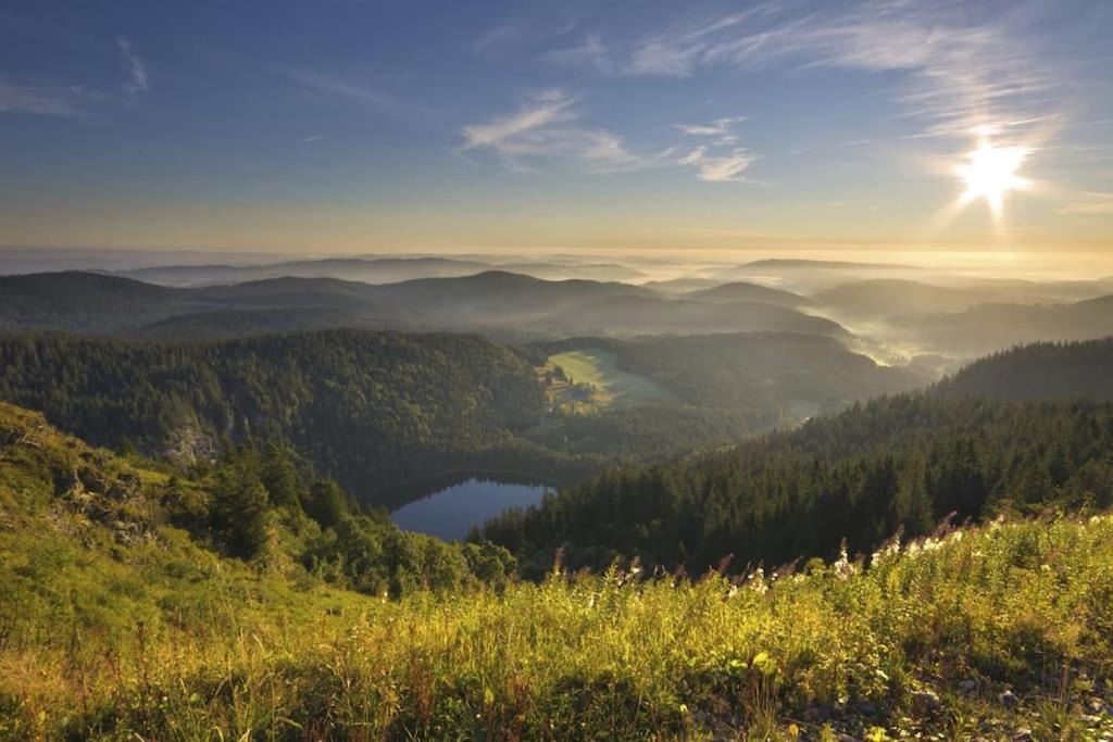Ferienwohnung Niki Titisee-Neustadt Zewnętrze zdjęcie