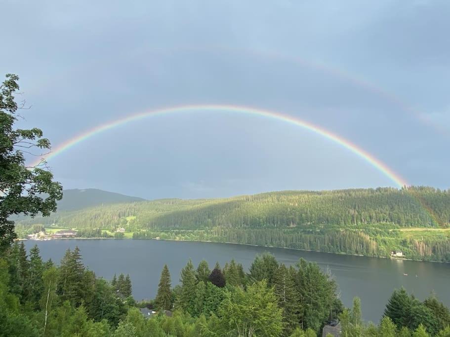 Ferienwohnung Niki Titisee-Neustadt Zewnętrze zdjęcie