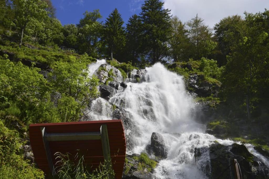 Ferienwohnung Niki Titisee-Neustadt Zewnętrze zdjęcie