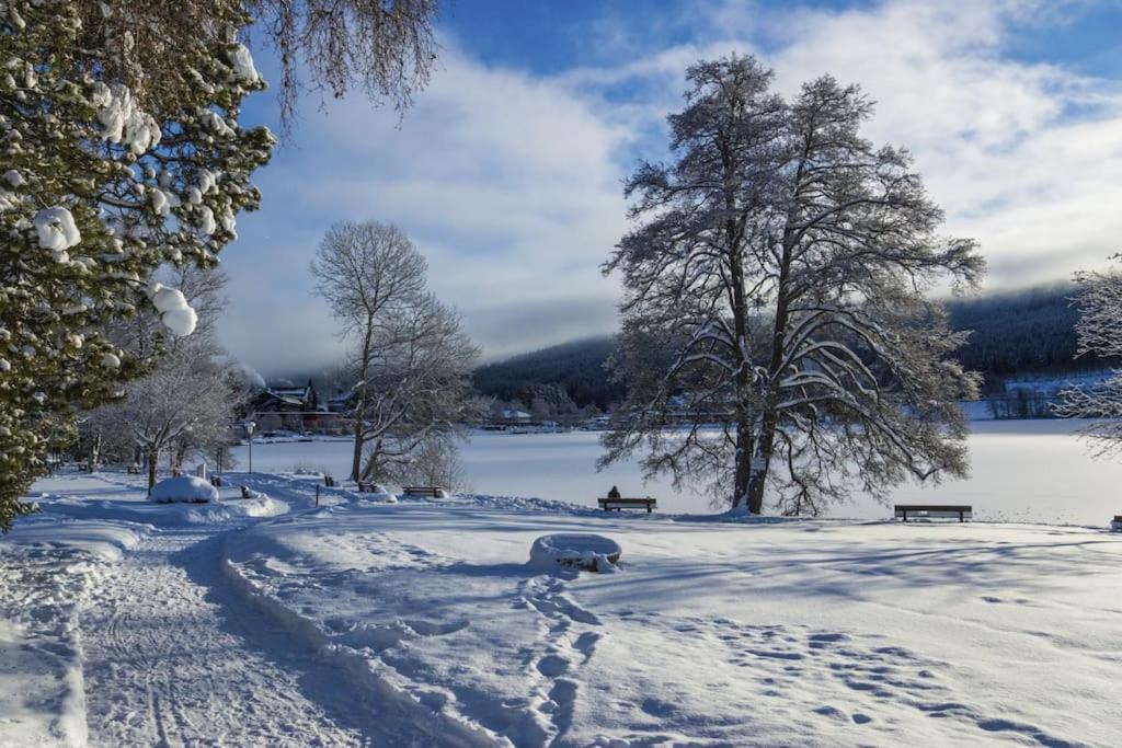 Ferienwohnung Niki Titisee-Neustadt Zewnętrze zdjęcie