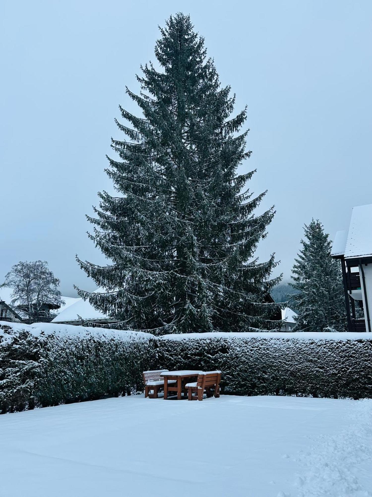 Ferienwohnung Niki Titisee-Neustadt Zewnętrze zdjęcie